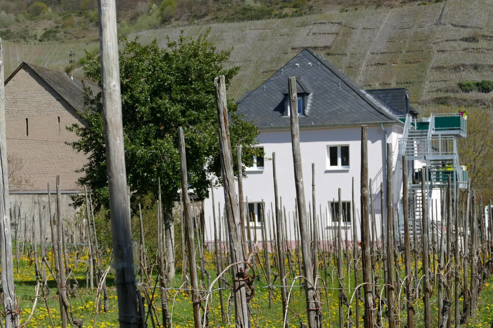Weingut Tosta - Trittenheim / Katrin- Cara_Mia-Exterieur winter