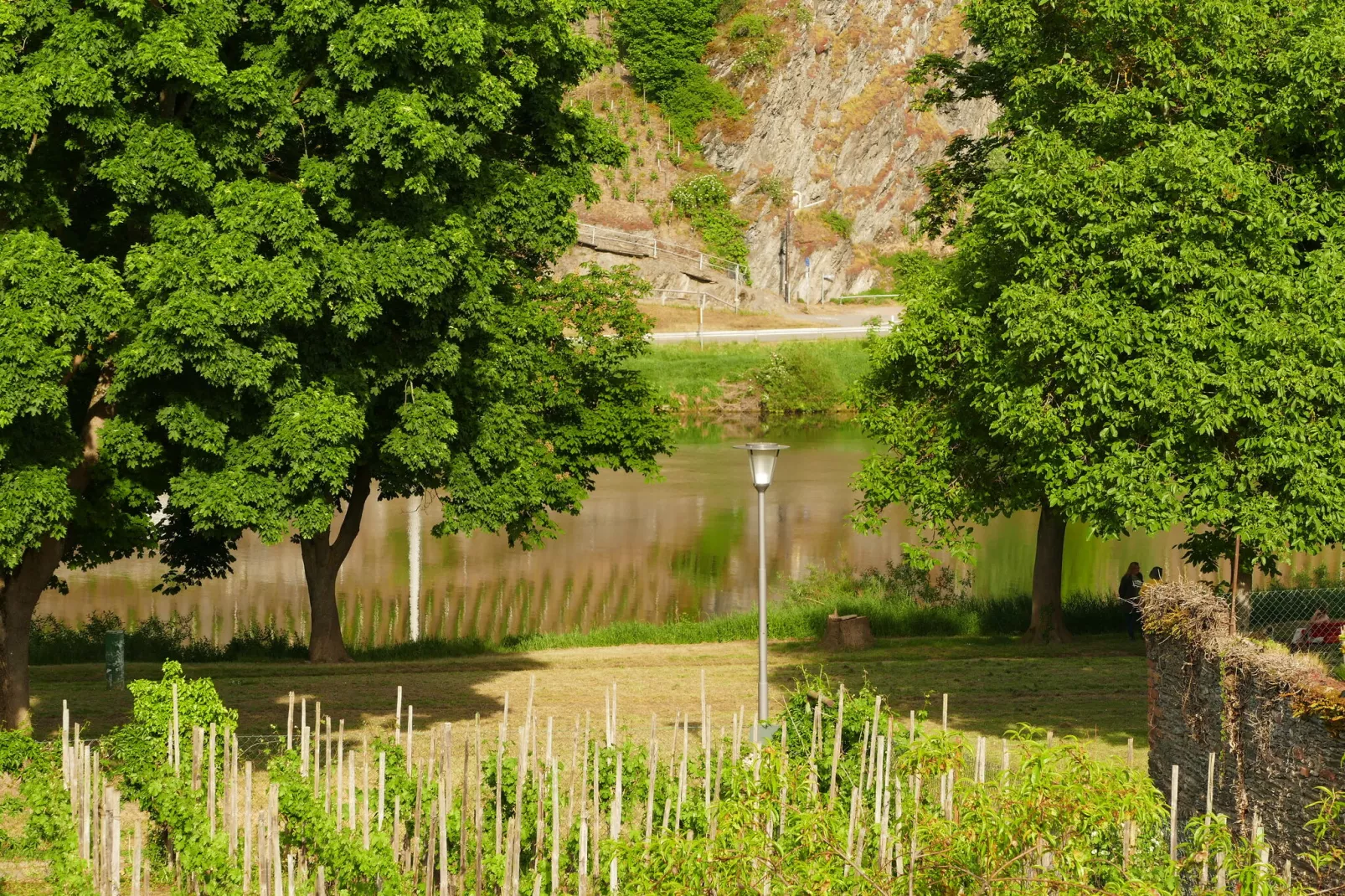 Weingut Tosta - Trittenheim / Katrin- Cara_Mia-Gebieden zomer 1km
