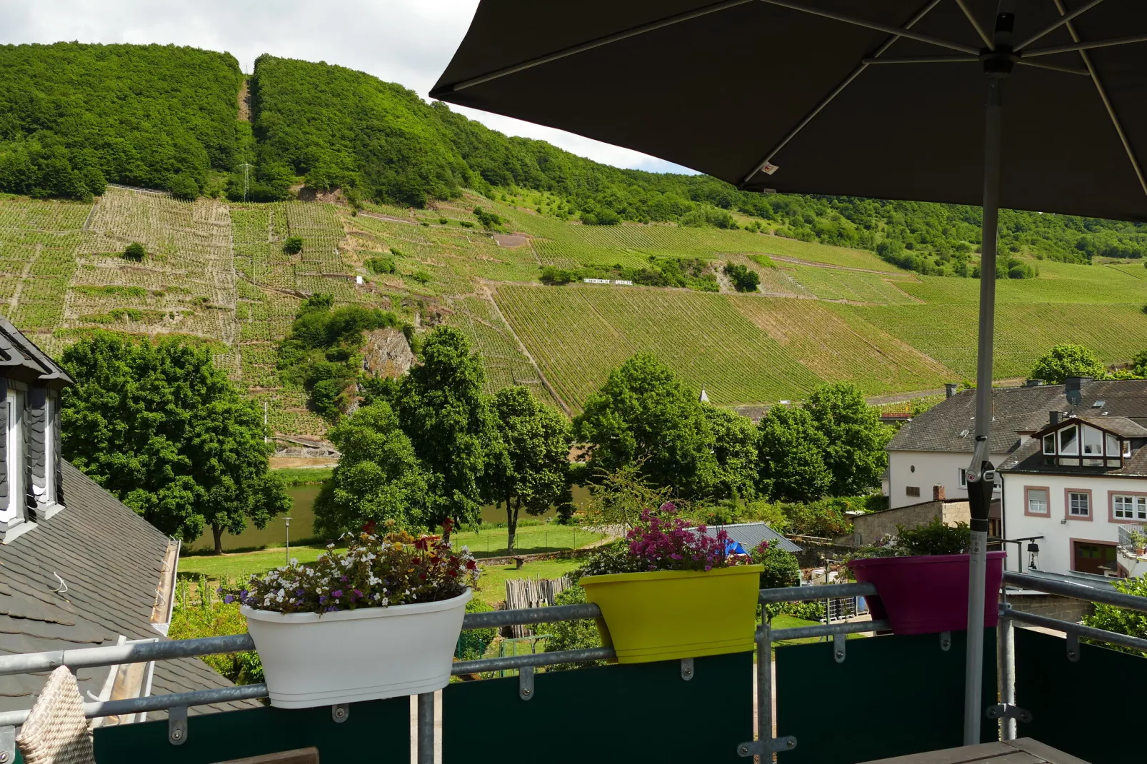 Weingut Tosta - Trittenheim / Luiza Loft-Buitenkant zomer