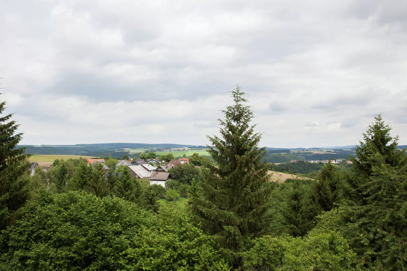 Villa Hochwald-Uitzicht zomer