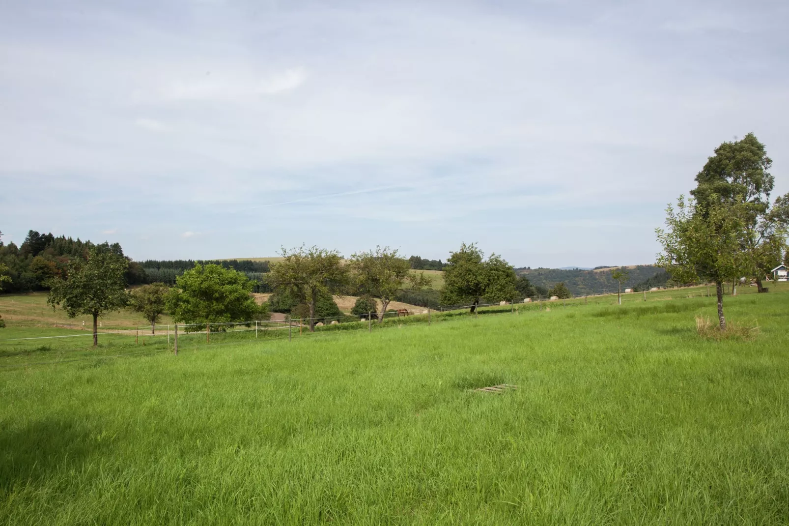 Haus Ludwine-Gebieden zomer 1km