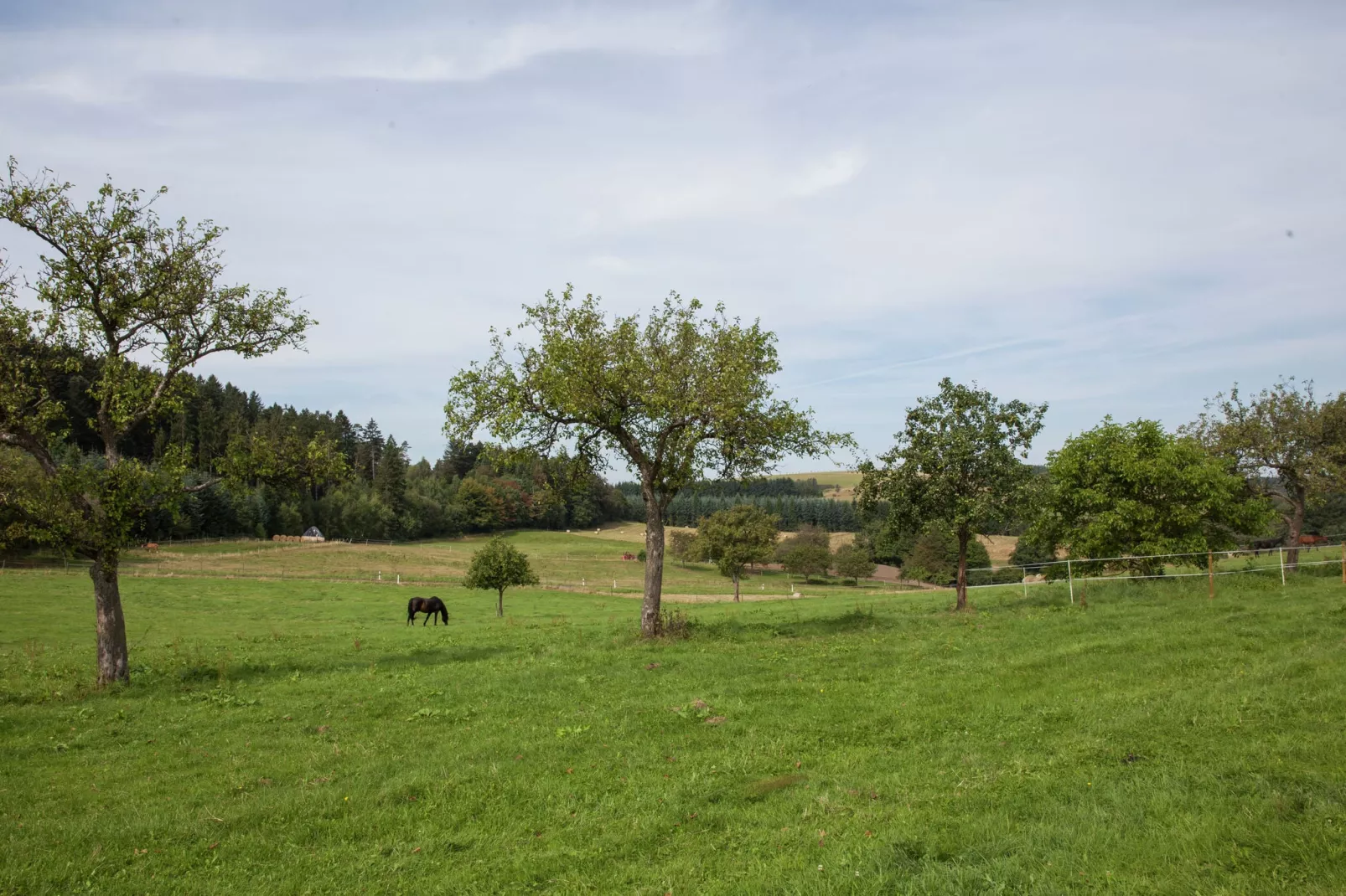 Haus Ludwine-Gebieden zomer 1km
