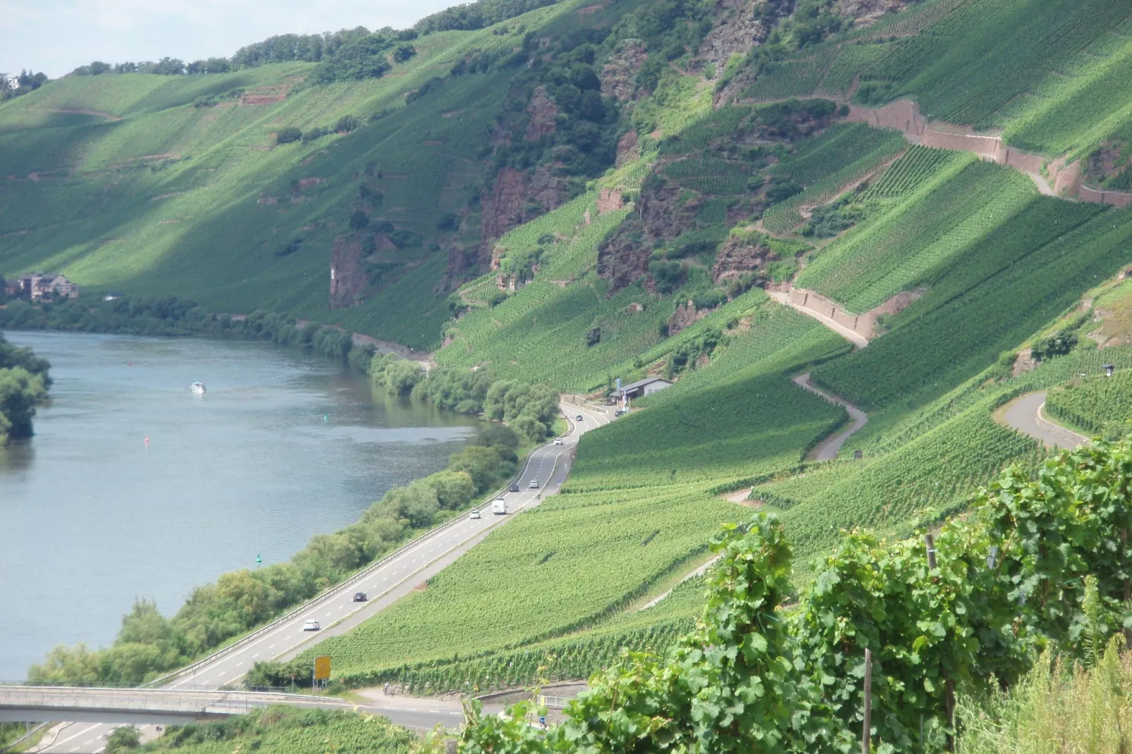 Weingut Justen-Kiebel-Gebieden zomer 1km