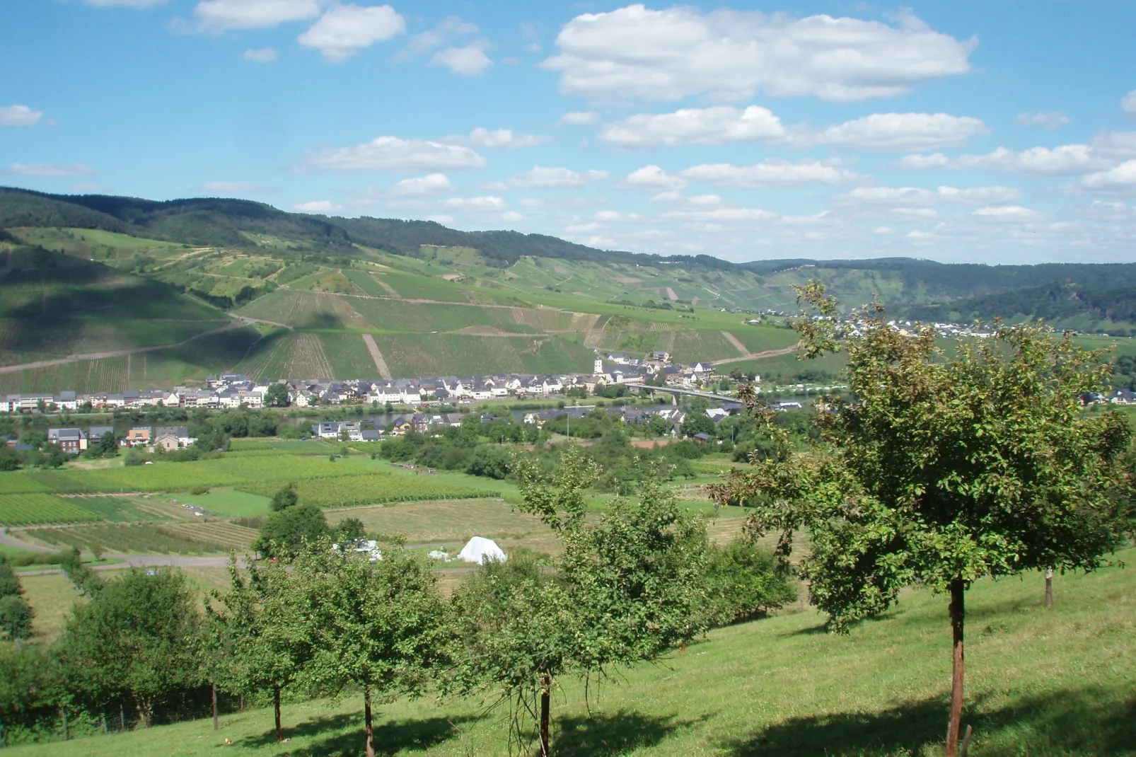 Weingut Justen-Kiebel-Gebieden zomer 1km