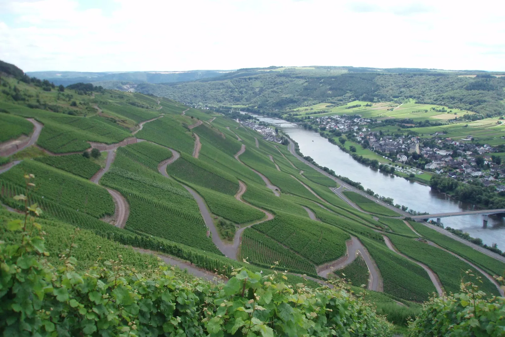 Weingut Justen-Kiebel-Gebieden zomer 1km