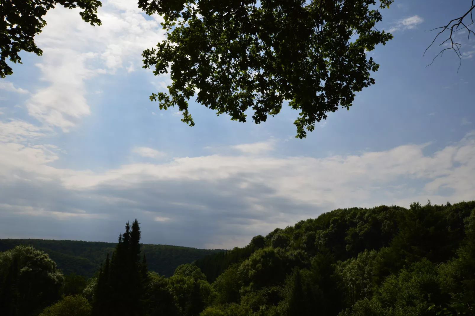 Turm zur Pfaffenley-Gebieden zomer 1km