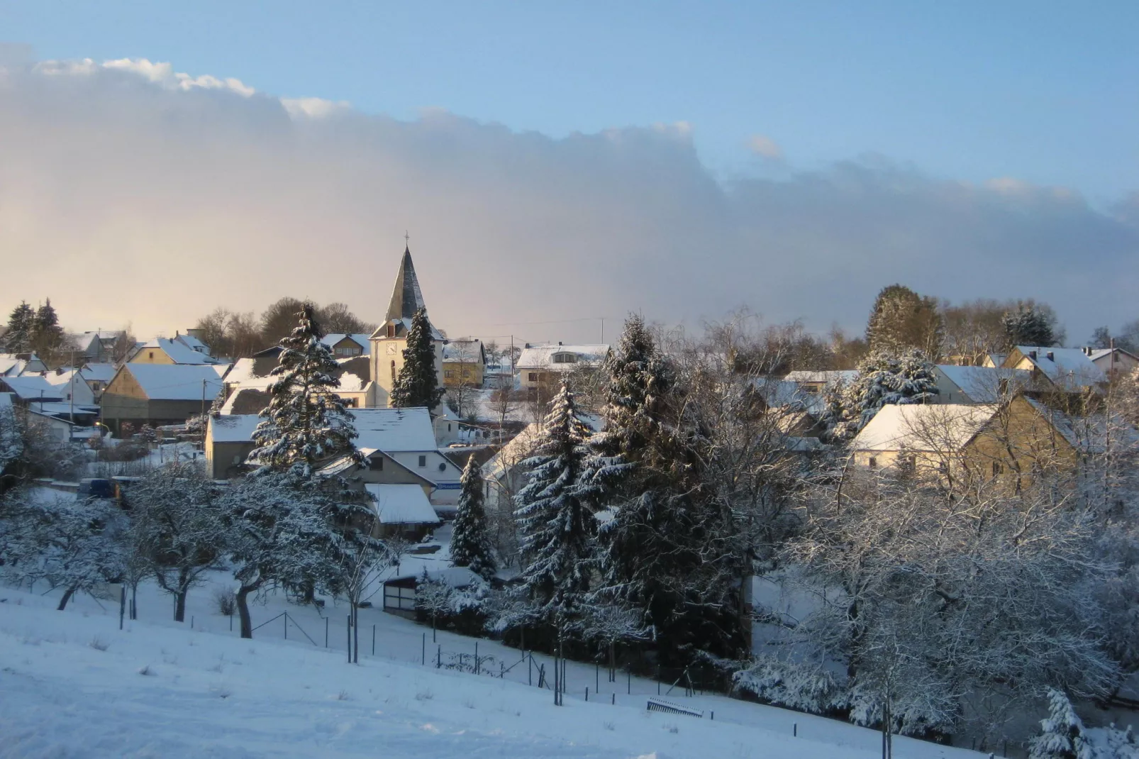 Borsch-Gebied winter 1km