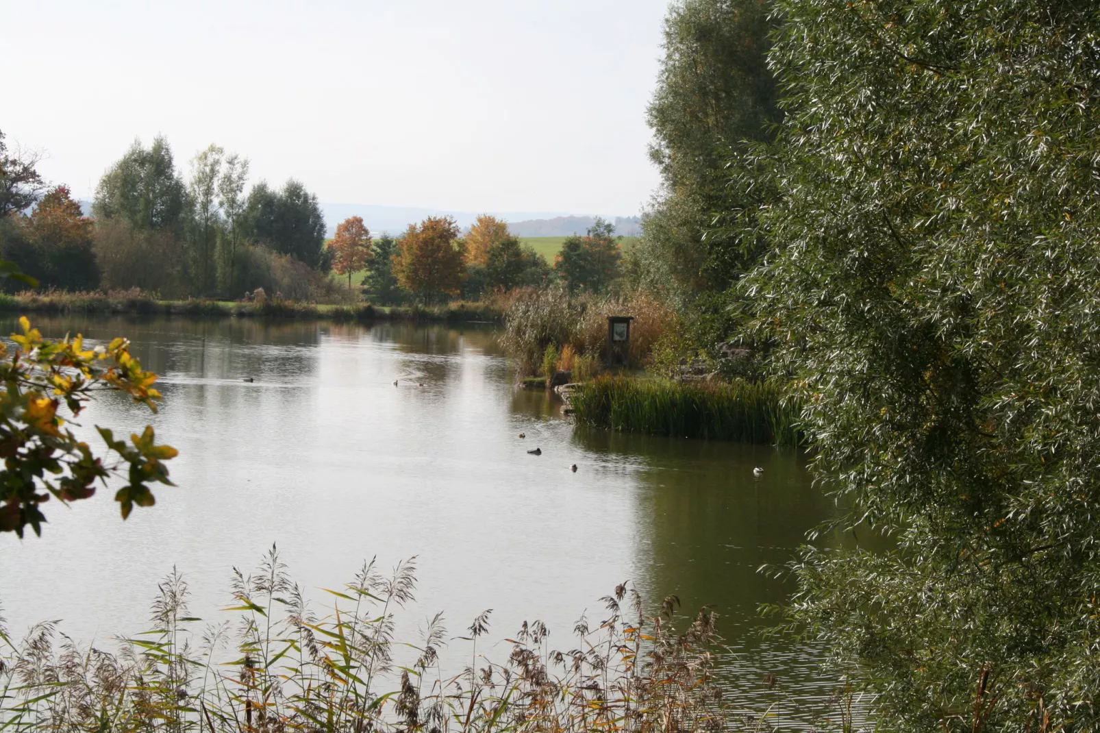 Hillesheim-Gebieden zomer 5km