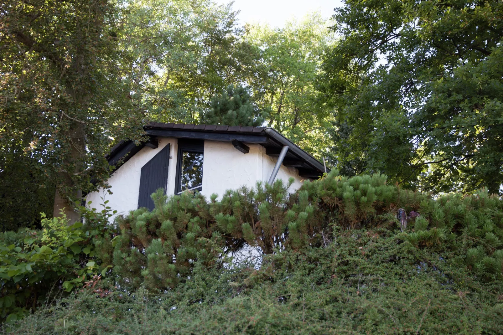 Ferienhaus Bremer-Buitenkant zomer