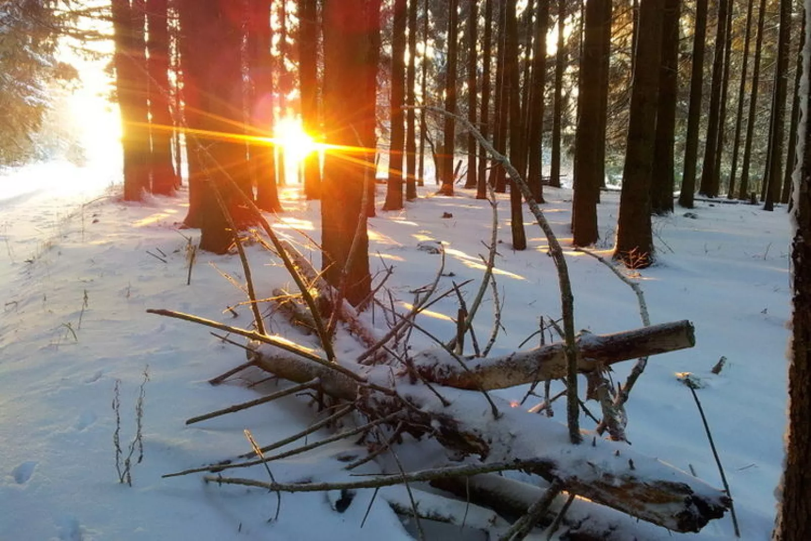 Zauberberg-Gebied winter 1km