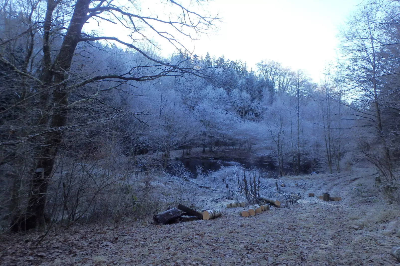 Ferienwohnung Waldblick-Gebied winter 1km