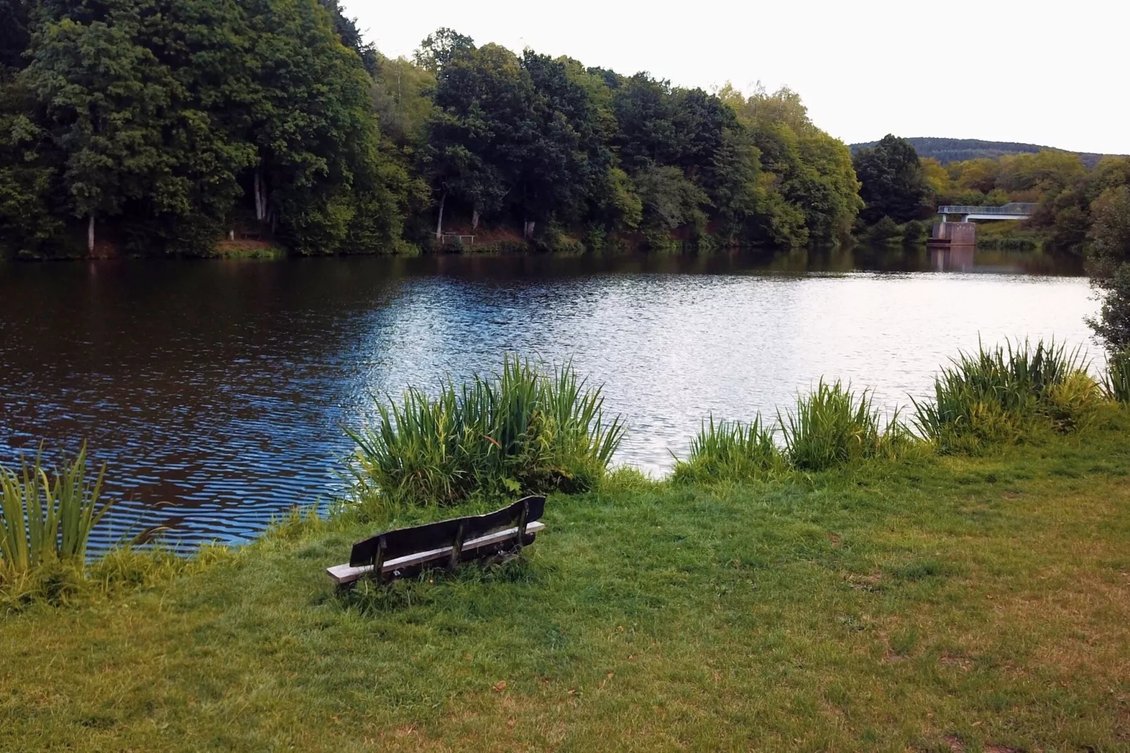 Eifelleben-Gebieden zomer 20km