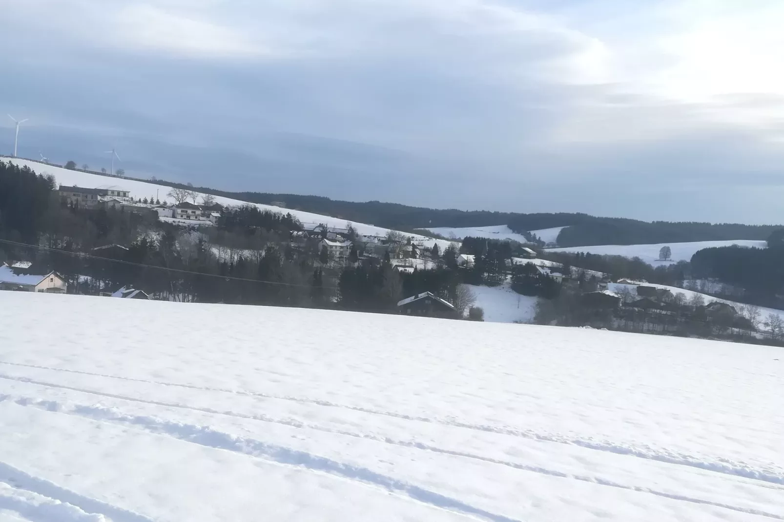 Eifelleben II-Gebied winter 1km