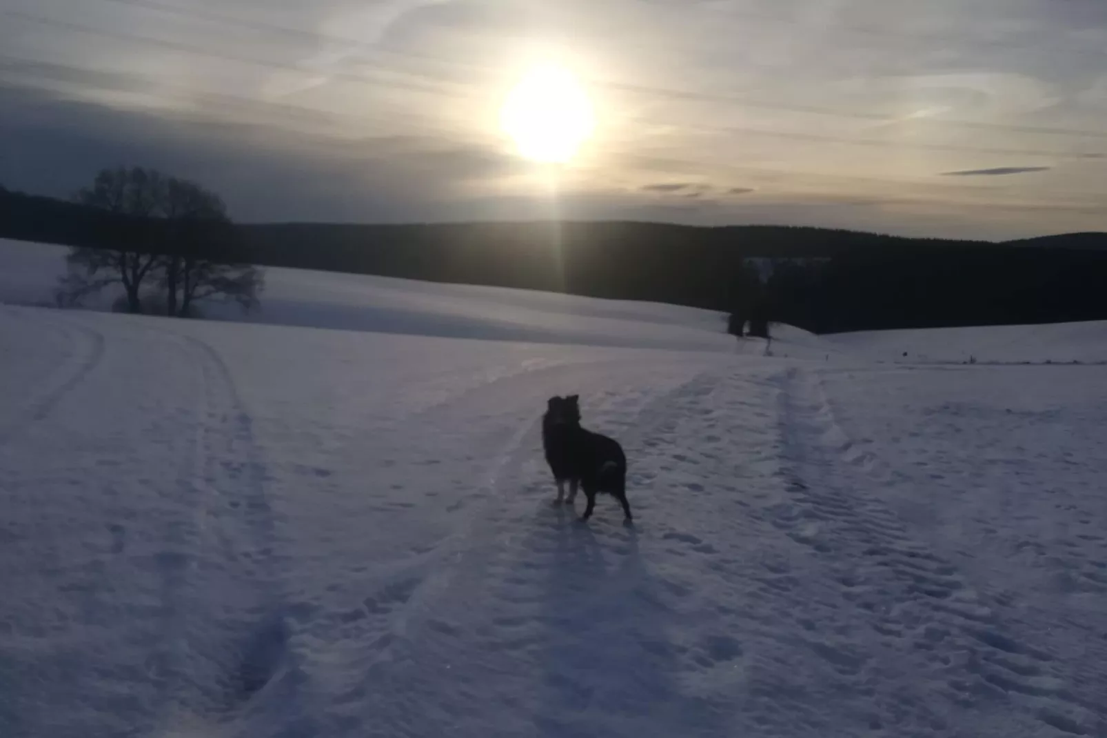 Eifelleben II-Gebied winter 1km