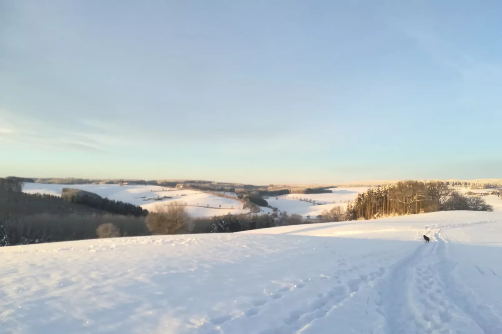 Eifelleben II-Gebied winter 1km