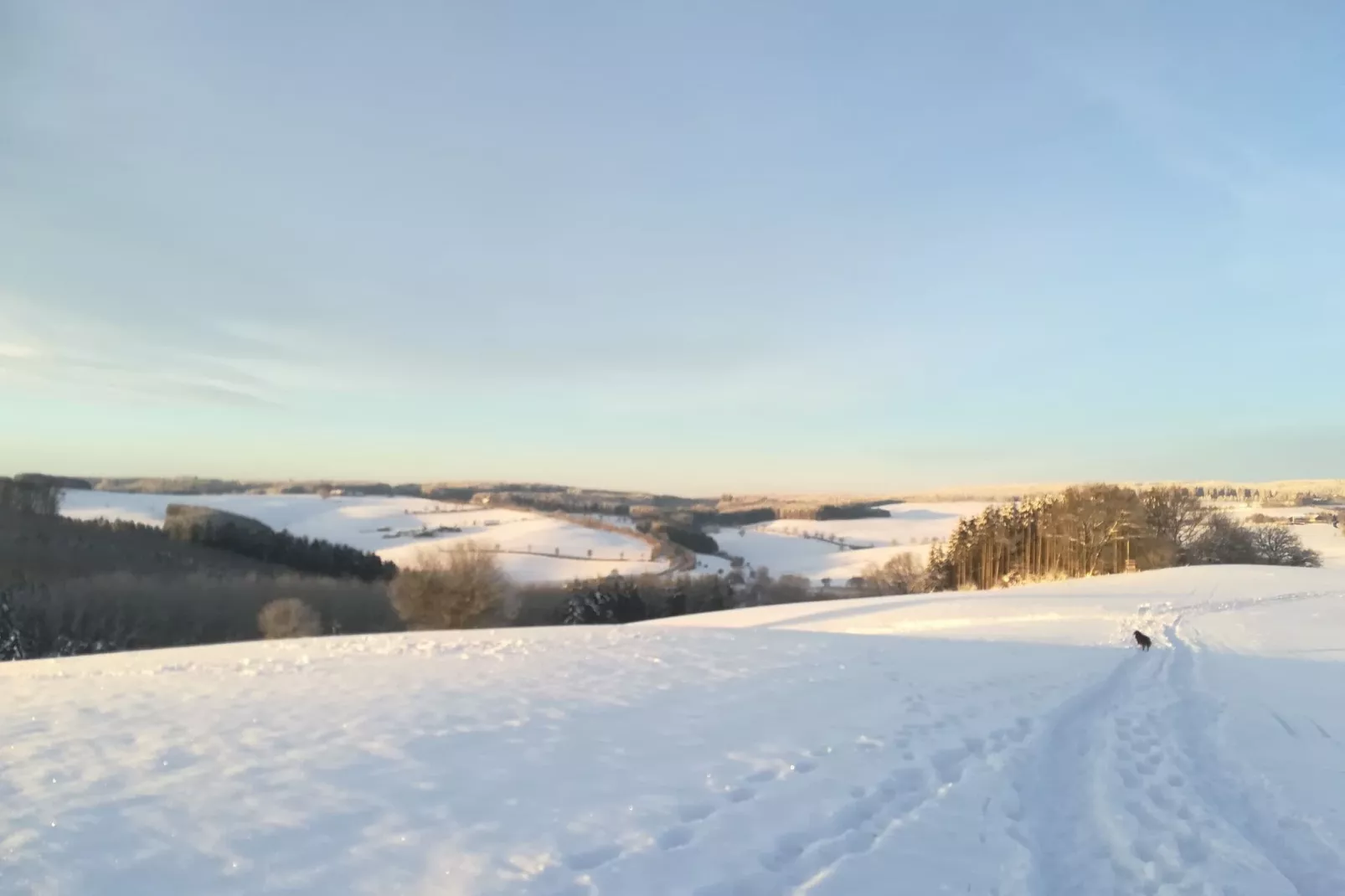 Eifelleben-Gebied winter 1km