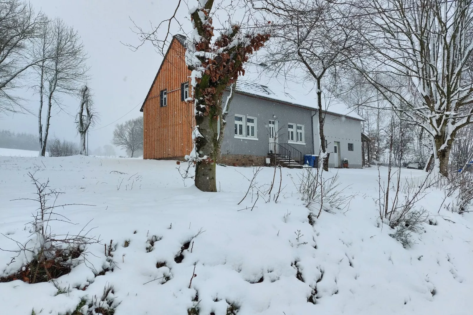 Ferienhaus Waldblick-Exterieur winter