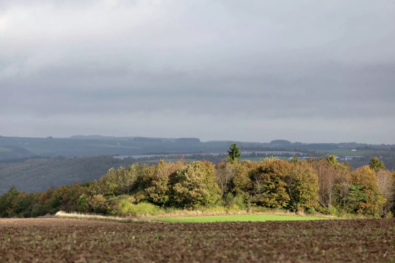 Blick zu Luxemburg-Gebieden zomer 5km