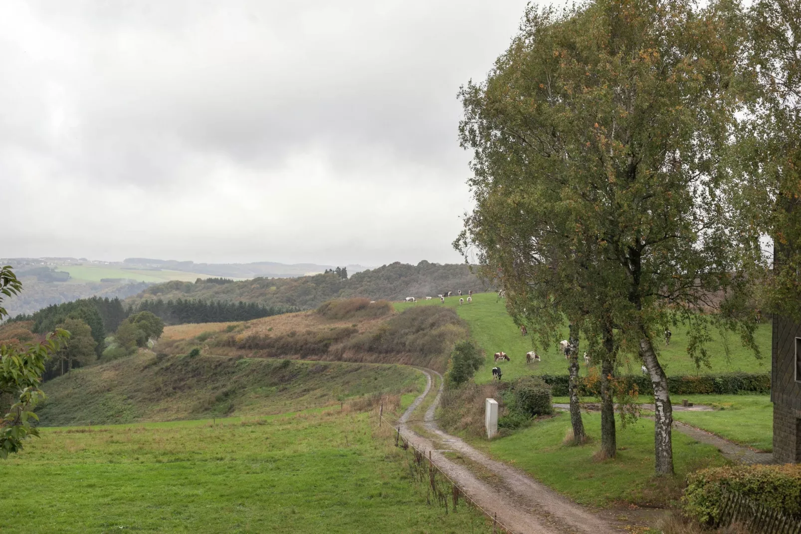 Blick zu Luxemburg-Uitzicht zomer