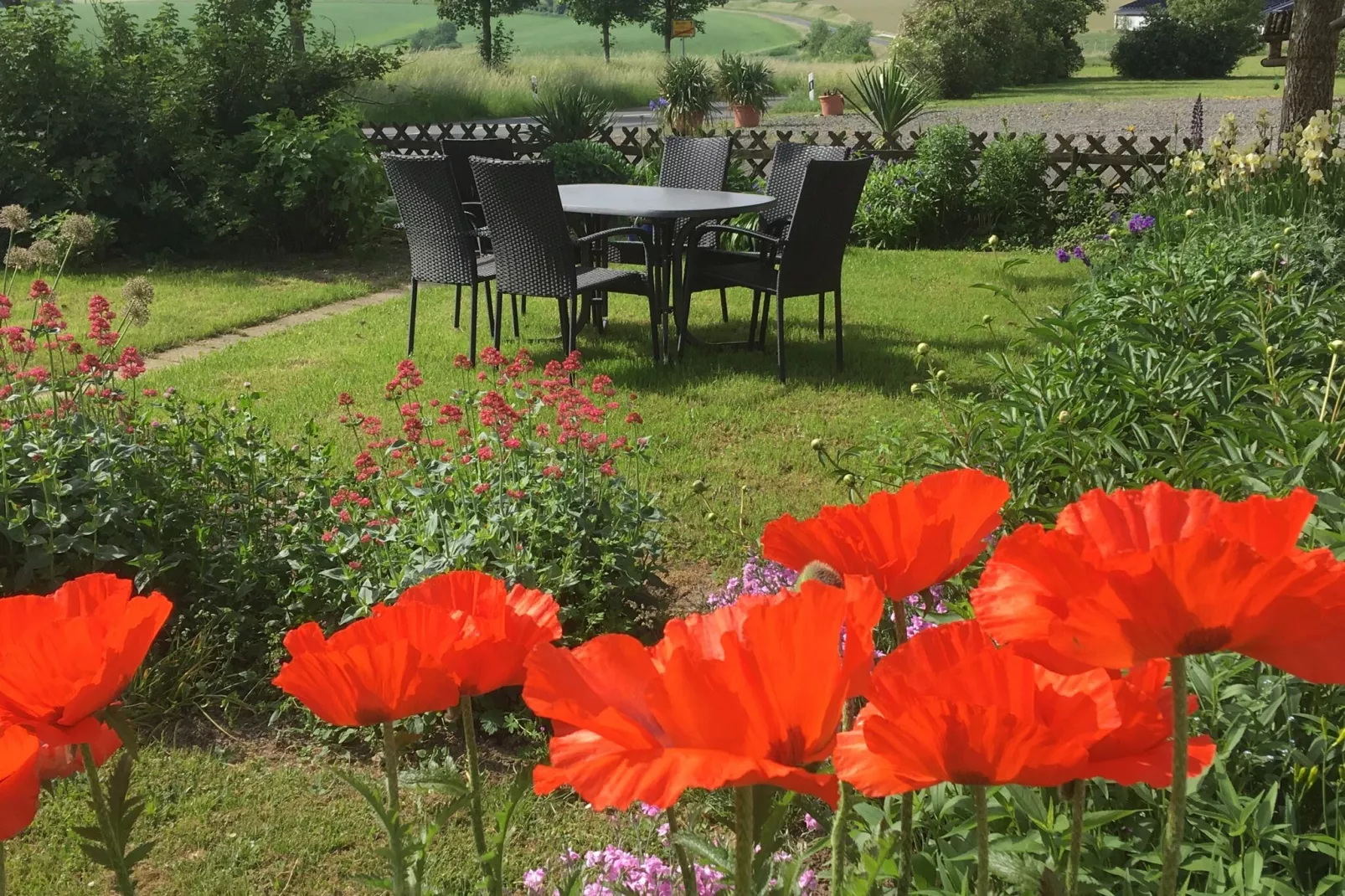 Blick zu Luxemburg-Tuinen zomer