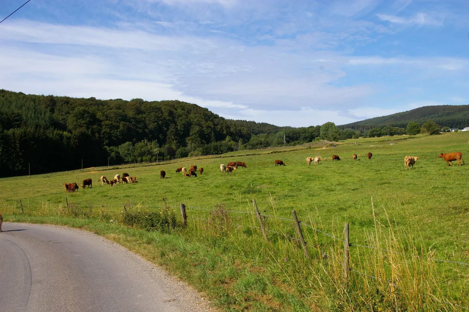 De Smaragd-Gebieden zomer 5km