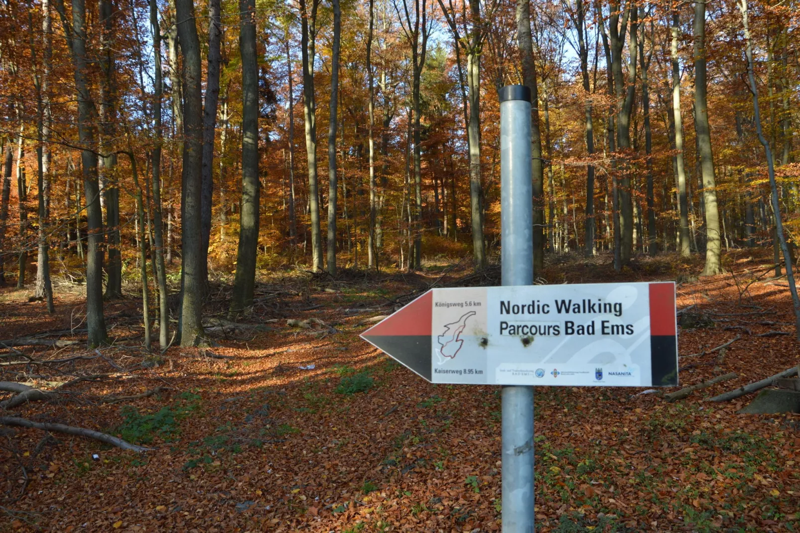 Schöne Aussicht-Gebieden zomer 5km