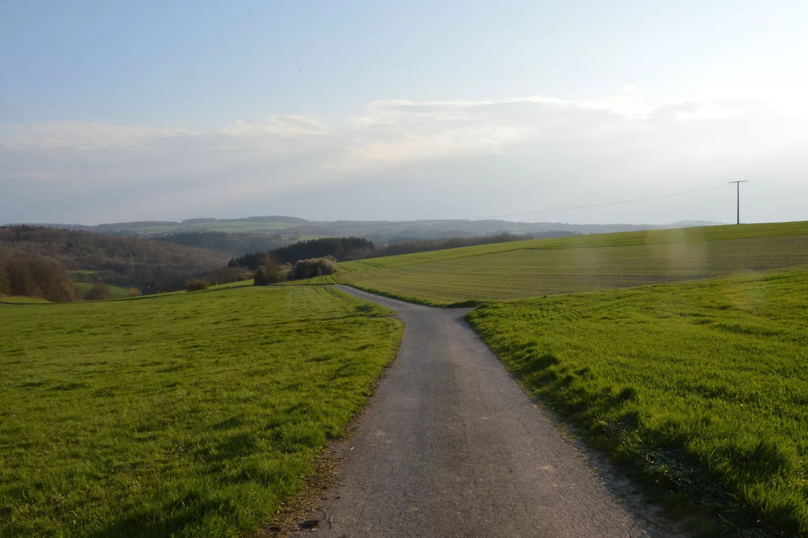 Petryhof-Gebieden zomer 1km