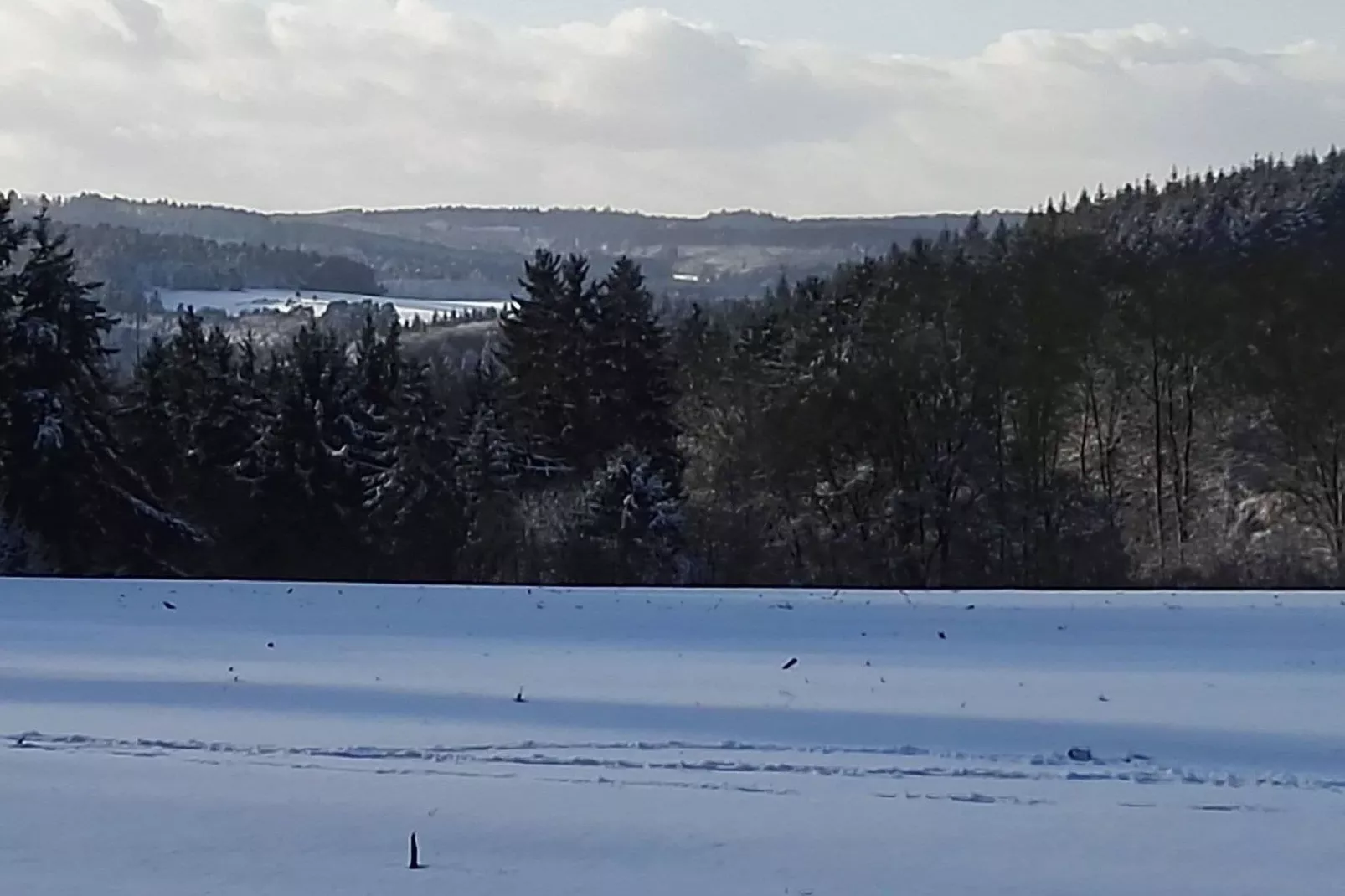 Altes Forsthaus-Gebied winter 5km