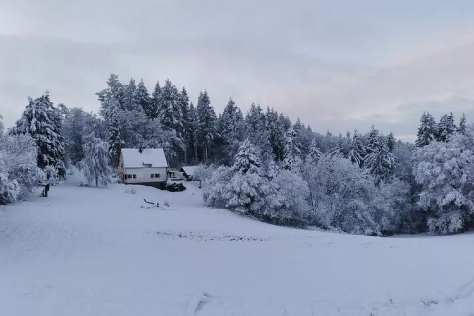 Altes Forsthaus-Uitzicht winter
