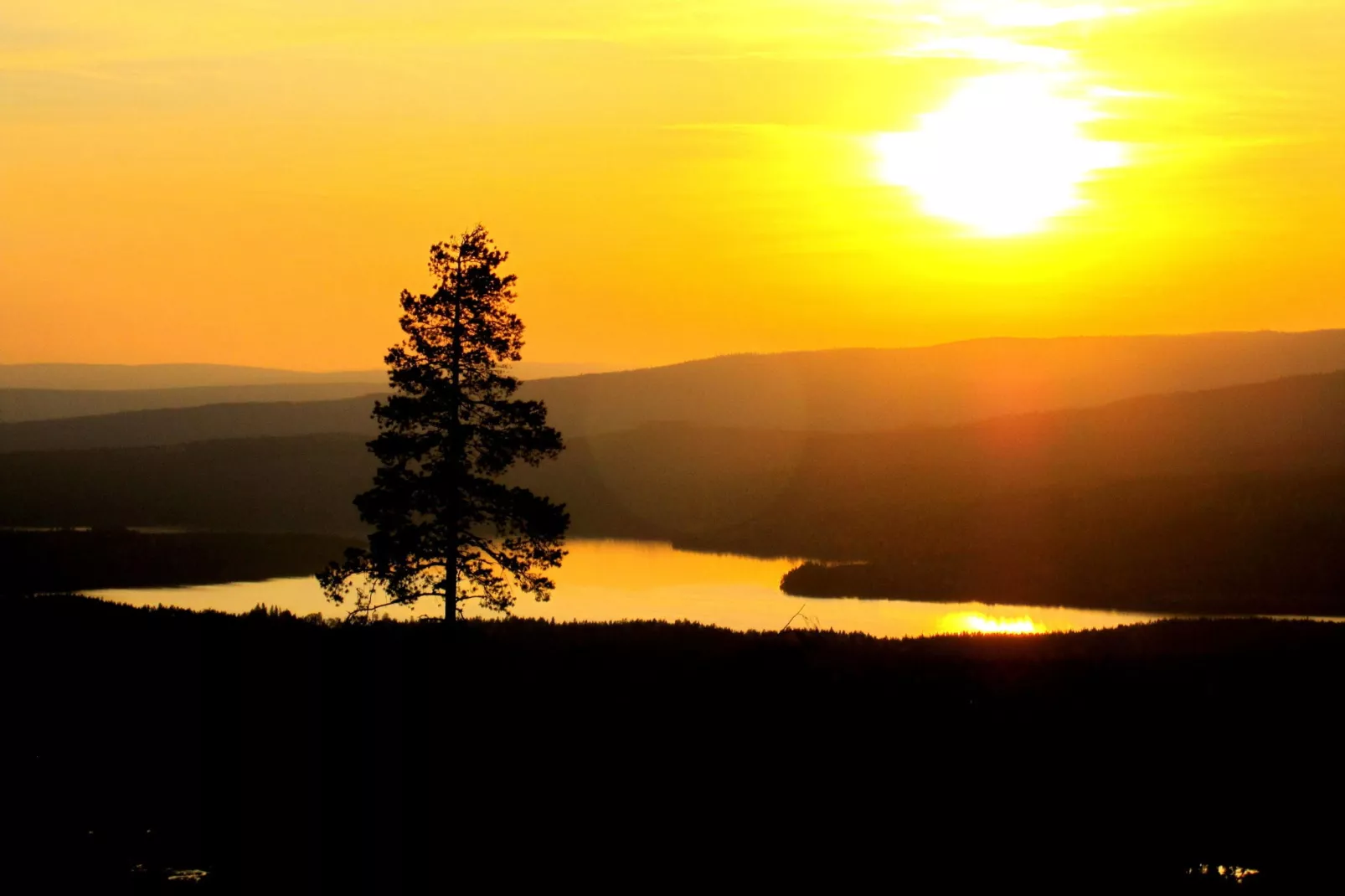 Letafors Herrgård-Gebieden zomer 1km