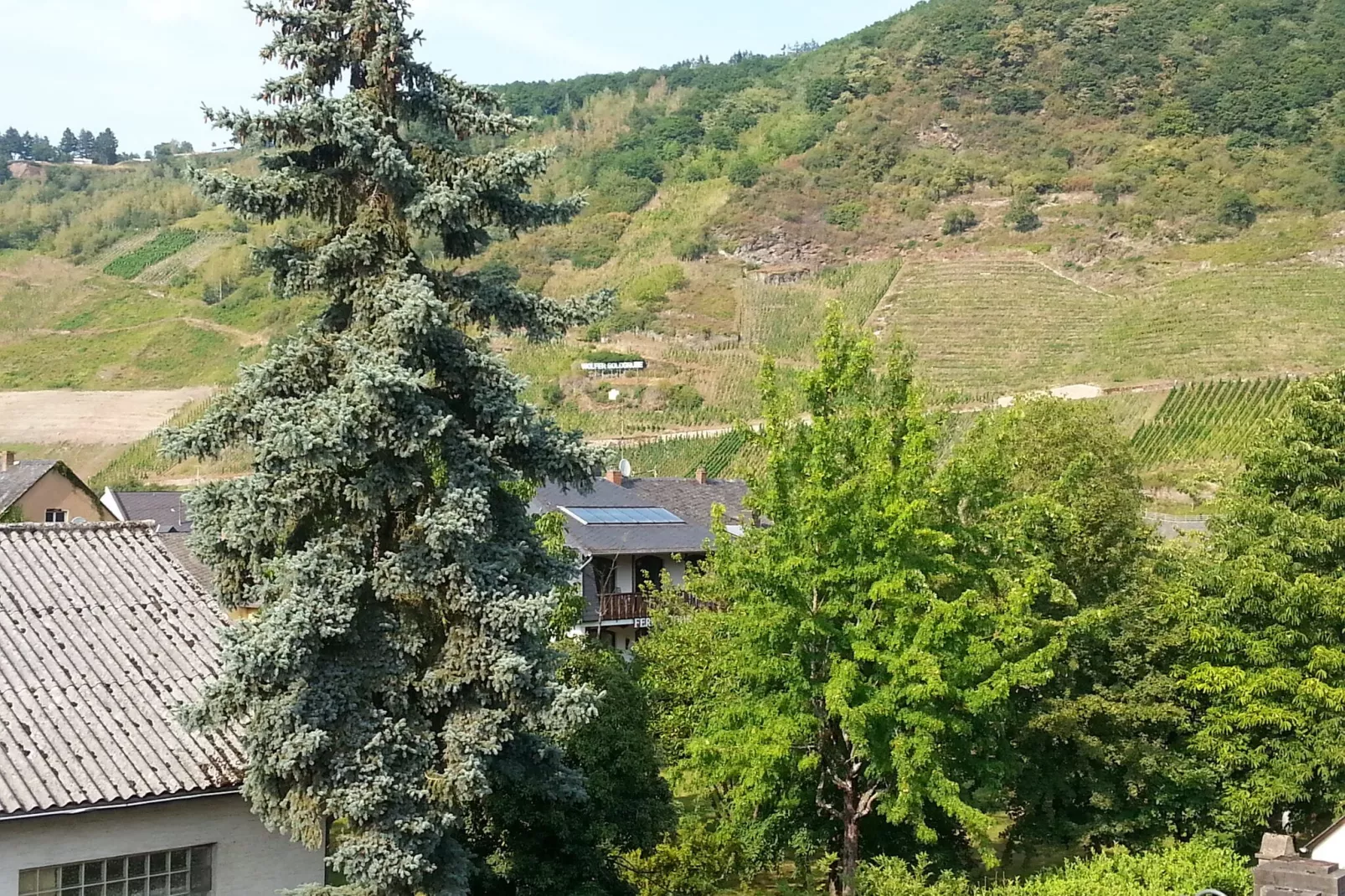 Ferienweingut Emmerich-Uitzicht zomer