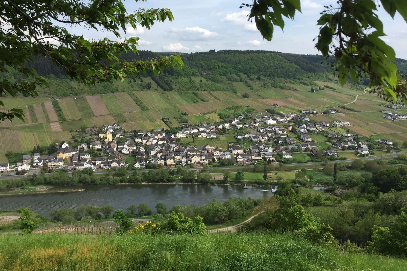 Haus Fritzen-Gebieden zomer 1km