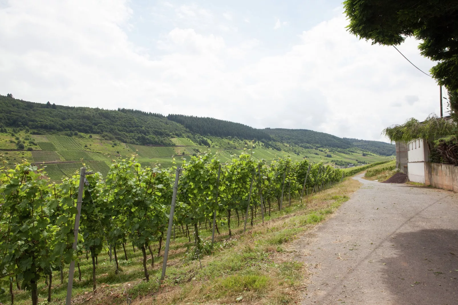 Haus Fritzen-Gebieden zomer 5km