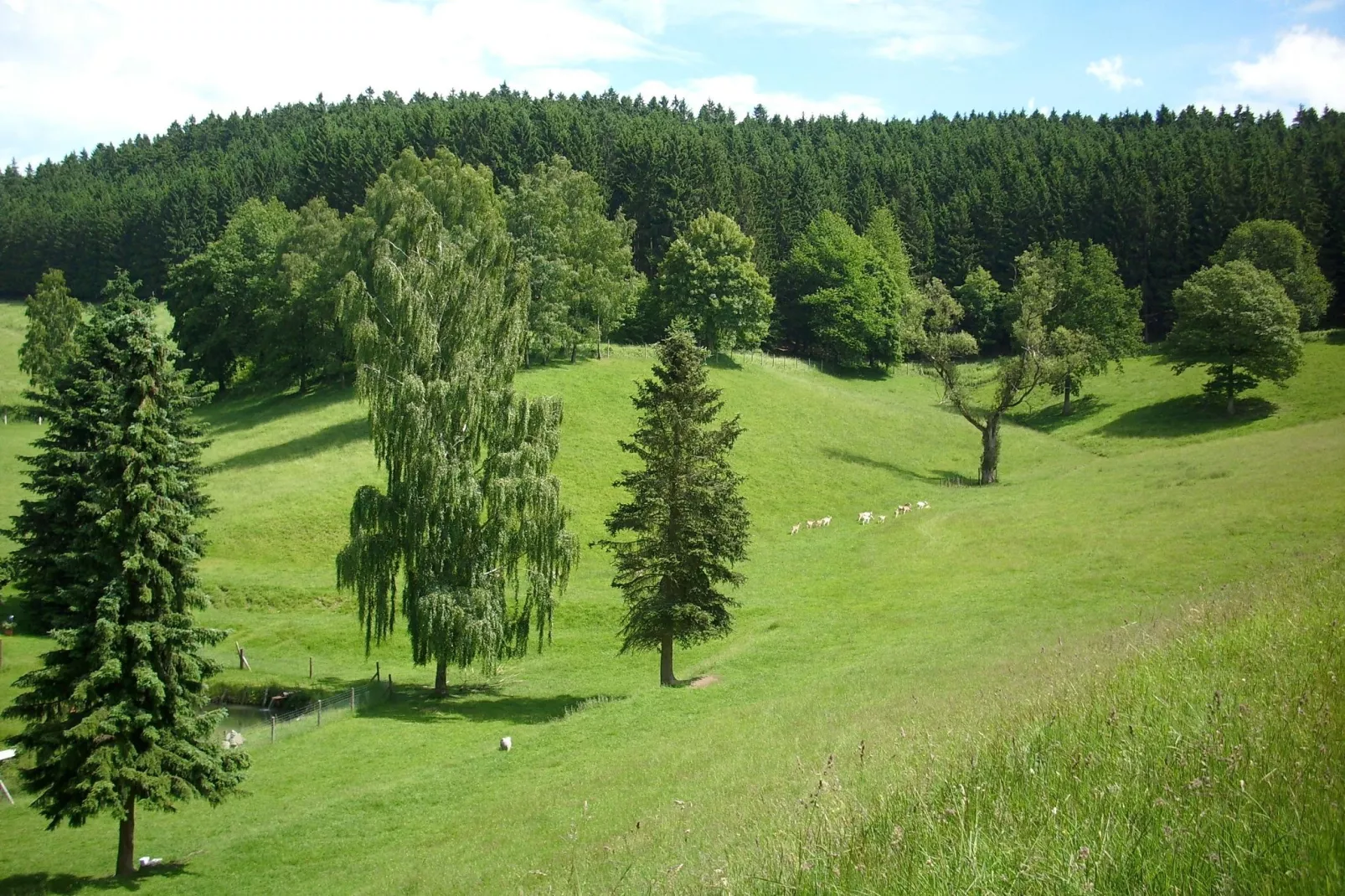 Am Damwildgehege-Gebieden zomer 5km