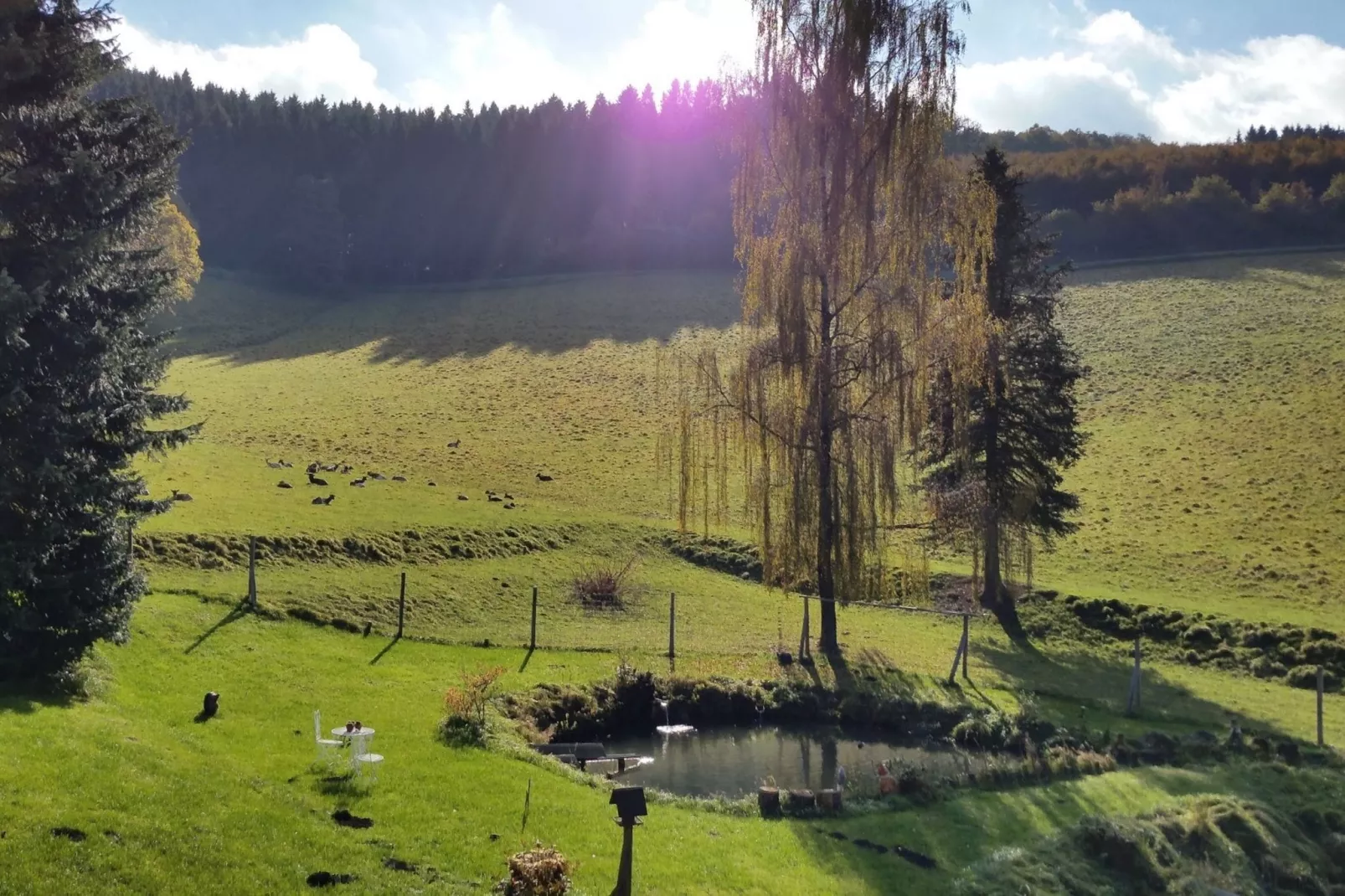 Am Damwildgehege-Uitzicht zomer