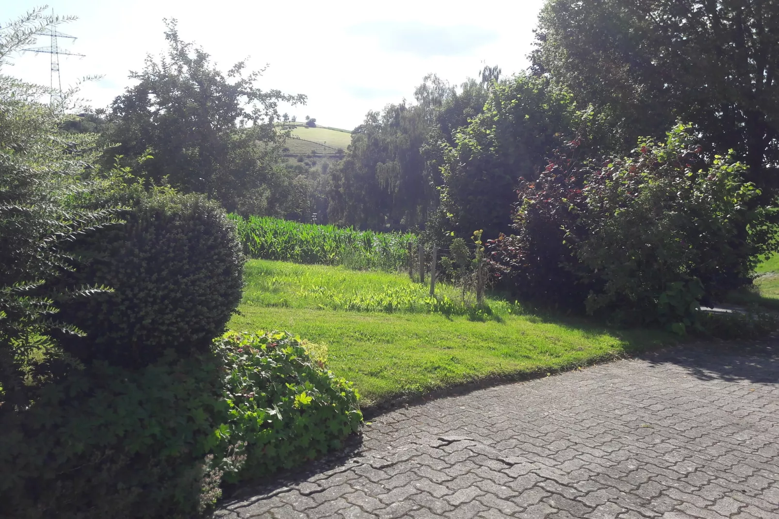 viewsummer