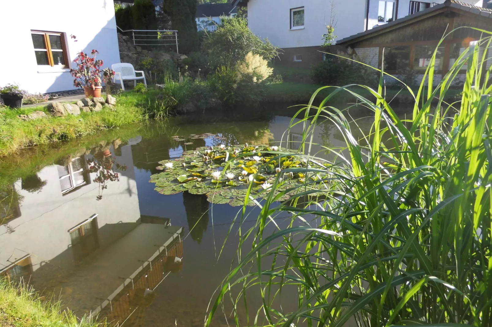 Am Teich-Tuinen zomer