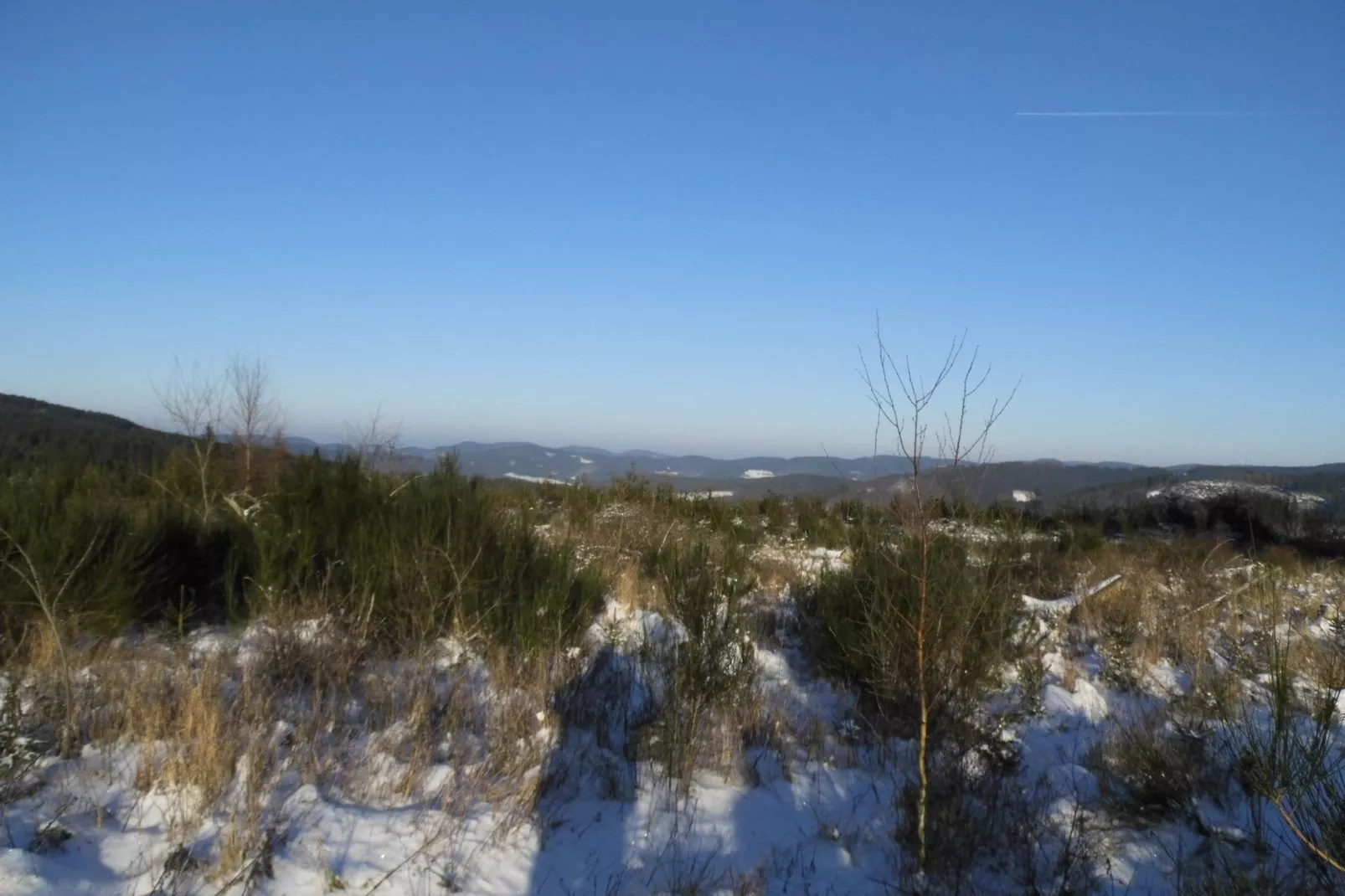 Am Teich-Gebied winter 5km