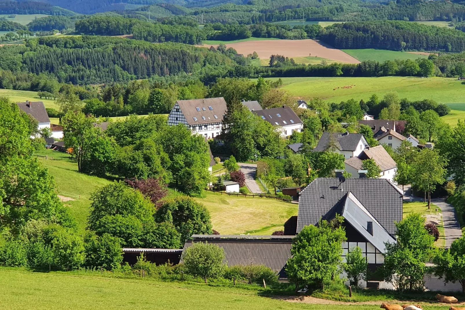 Ferienwohnung Silbecke-Gebieden zomer 1km