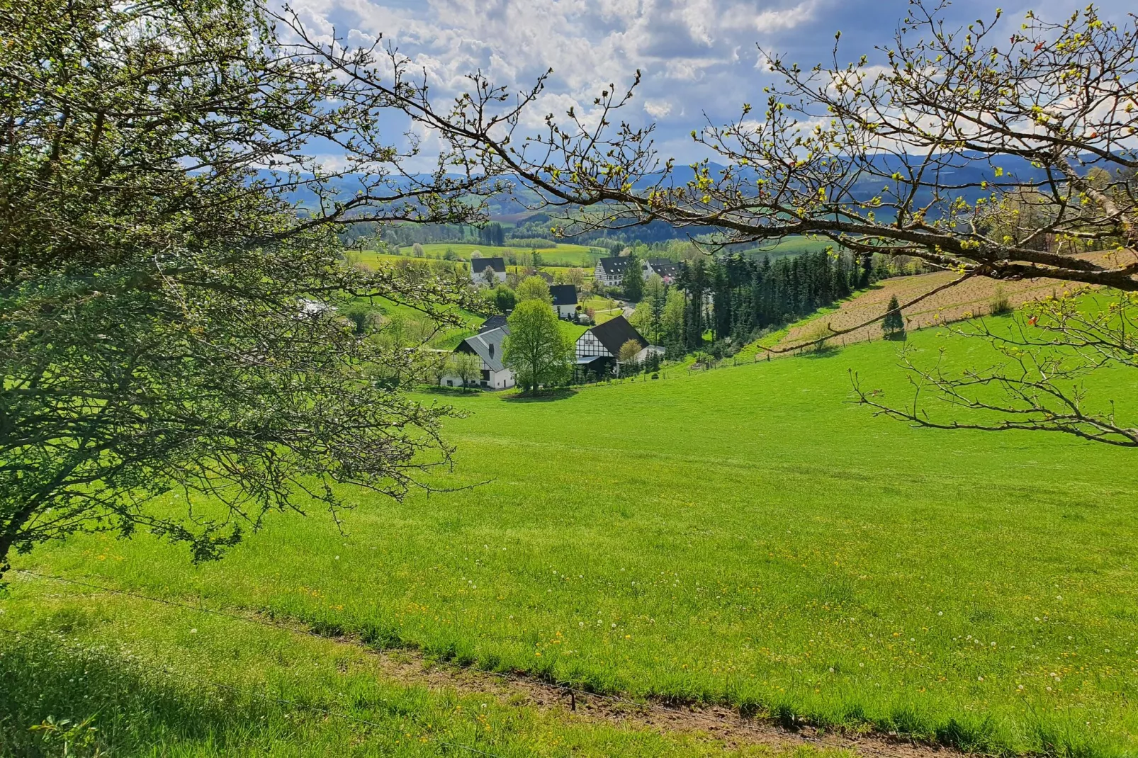 Ferienwohnung Silbecke-Gebieden zomer 20km