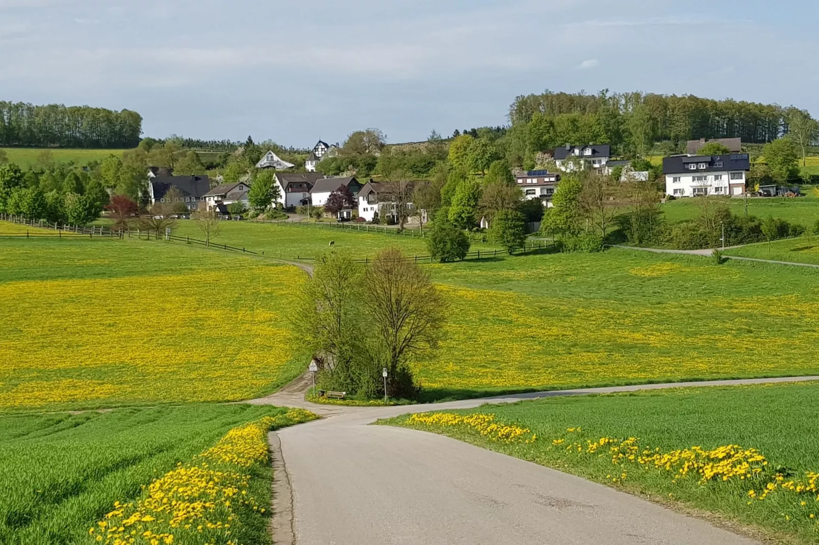 Ferienwohnung Silbecke-Gebieden zomer 1km