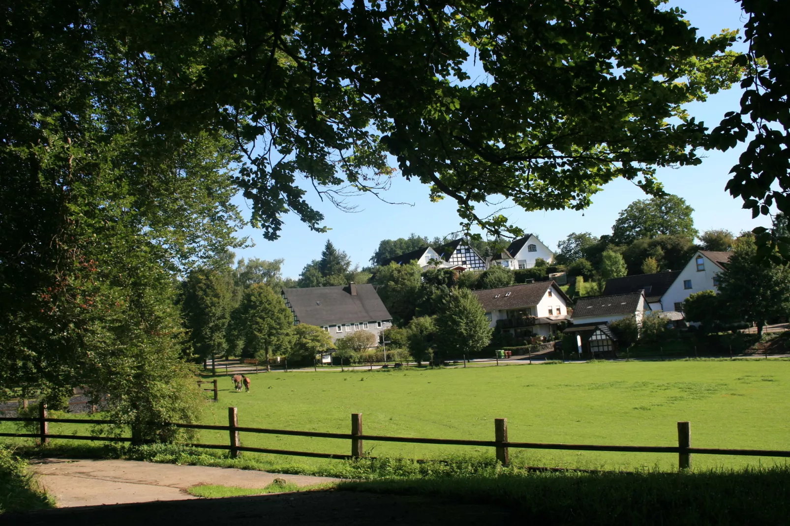 Ferienwohnung Silbecke-Gebieden zomer 1km