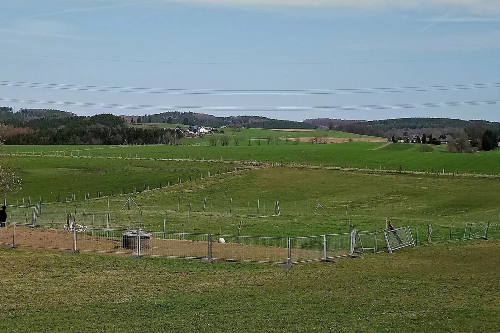 Alpaka-Farm-Uitzicht zomer