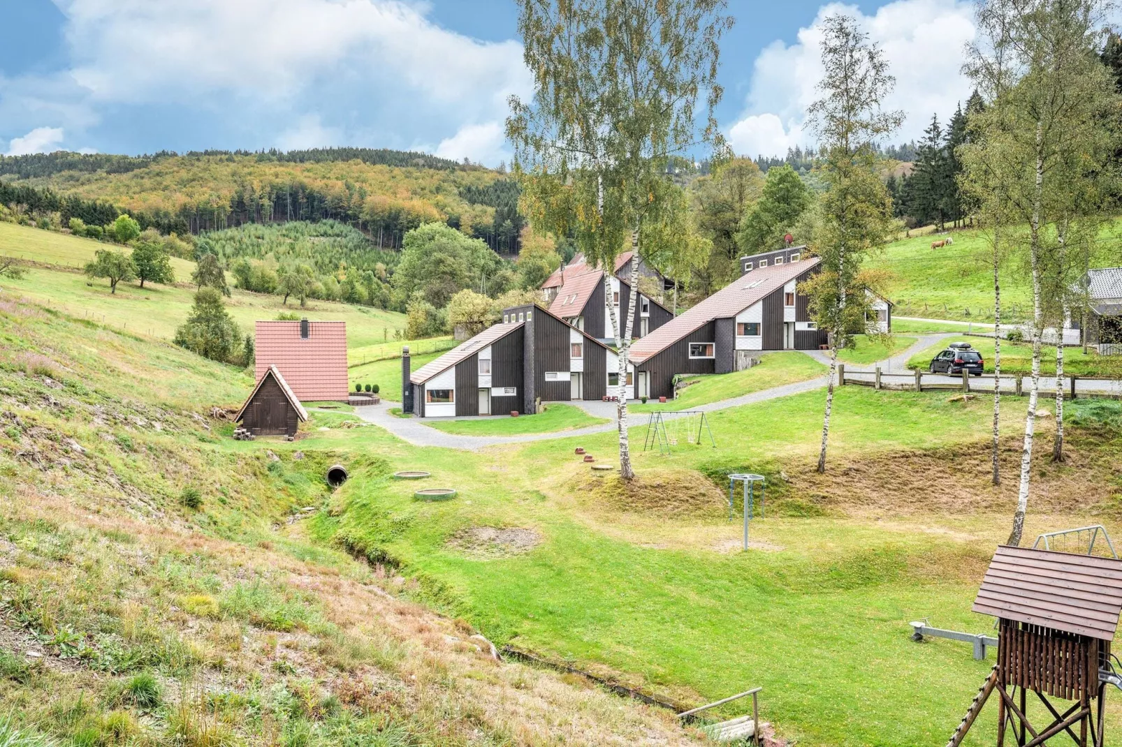 Dachsbau-Gebieden zomer 1km