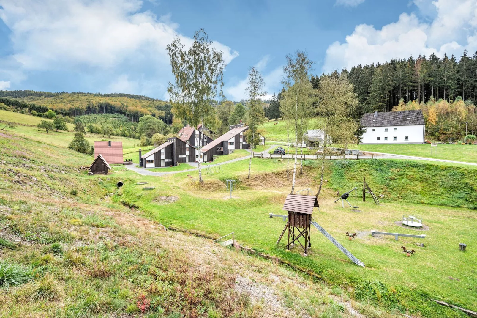 Dachsbau-Gebieden zomer 1km