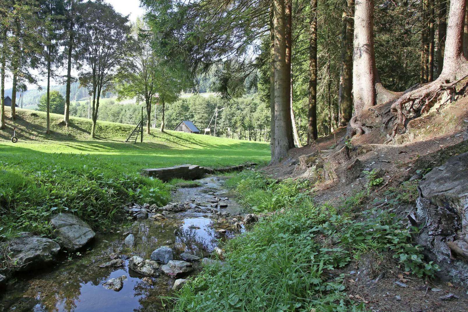 Wieselbau-Gebieden zomer 20km