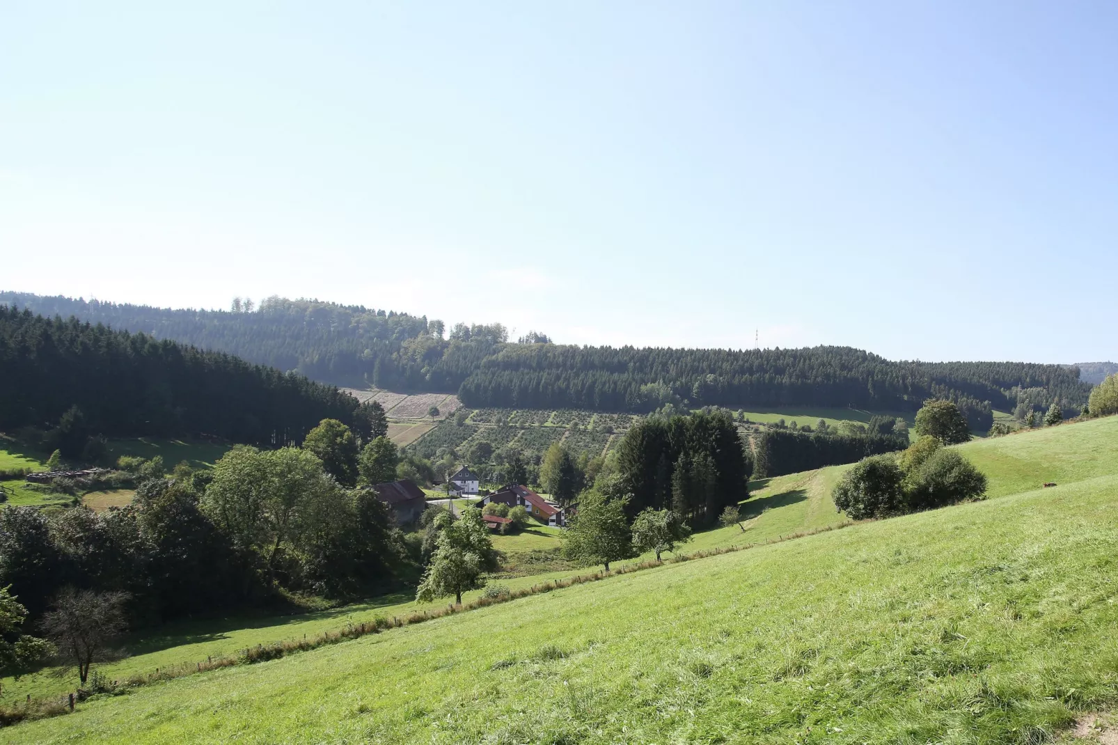 Wieselbau-Gebieden zomer 5km