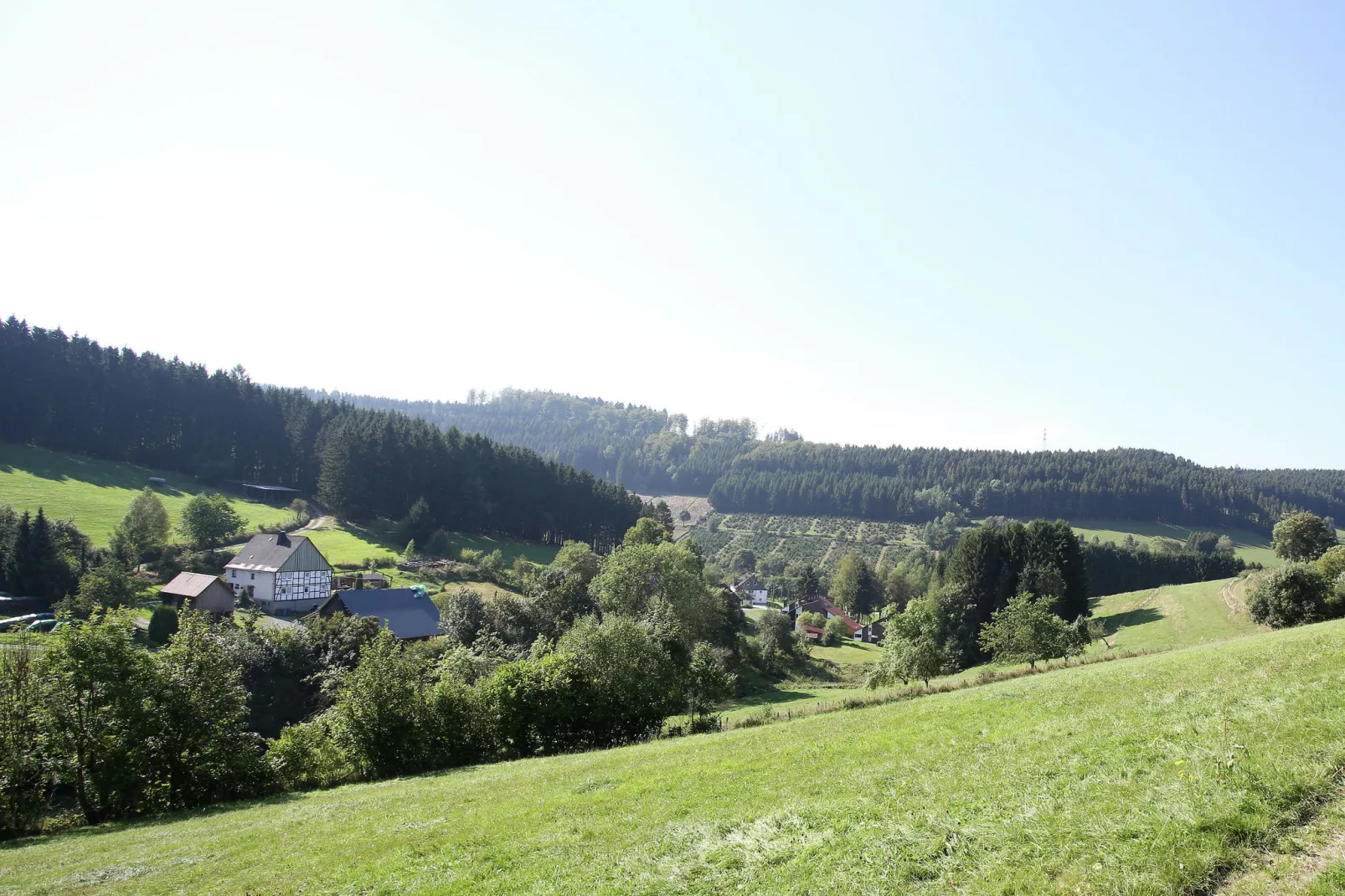 Wieselbau-Gebieden zomer 20km