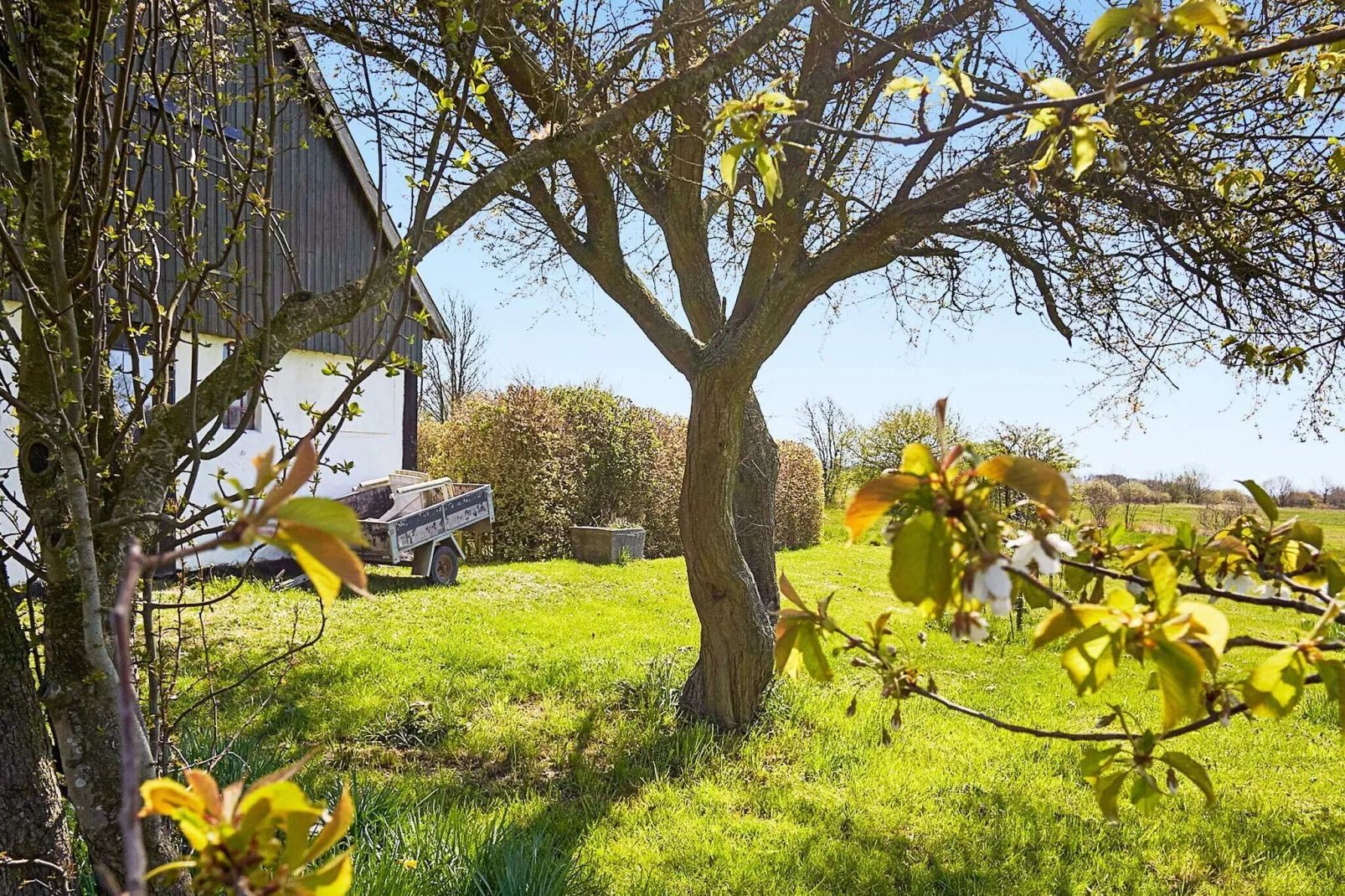 6 persoons vakantie huis in Aakirkeby-Buitenlucht