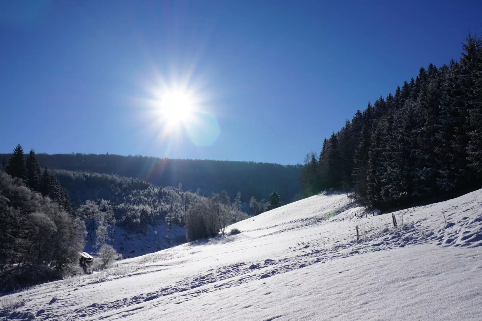 Landhaus Winterberg-Gebied winter 1km